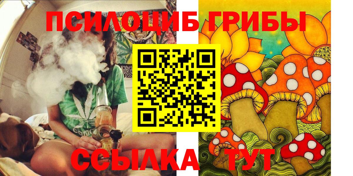 Псилоцибиновые грибы мицелий Тольятти