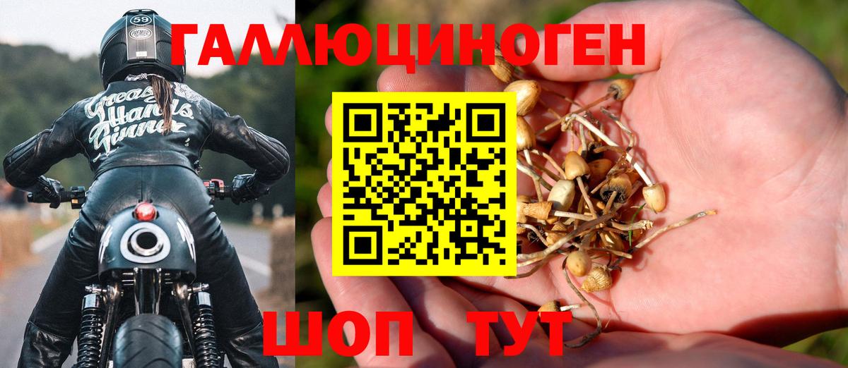 Галлюциногенные грибы Magic Shrooms  Псилоцибиновые грибы MAGIC MUSHROOMS  Вход с VPN  Тольятти 